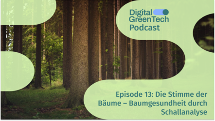 Grafik zum „Digital GreenTech Podcast“ mit Waldaufnahme im Hintergrund. Text: „Episode 13: Die Stimme der Bäume – Baumgesundheit durch Schallanalyse“.